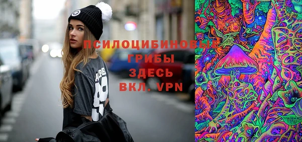 гидропоника Магас